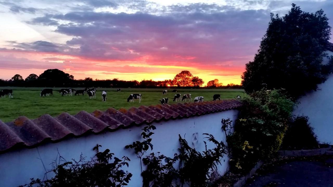 Miltons Country Lodge Lower Langford 外观 照片